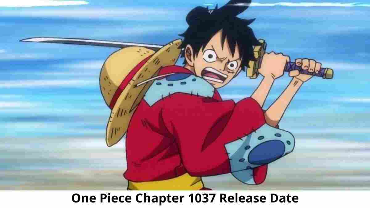 Capítulo 1037 de One Piece retrasado;  cual es la nueva fecha de lanzamiento